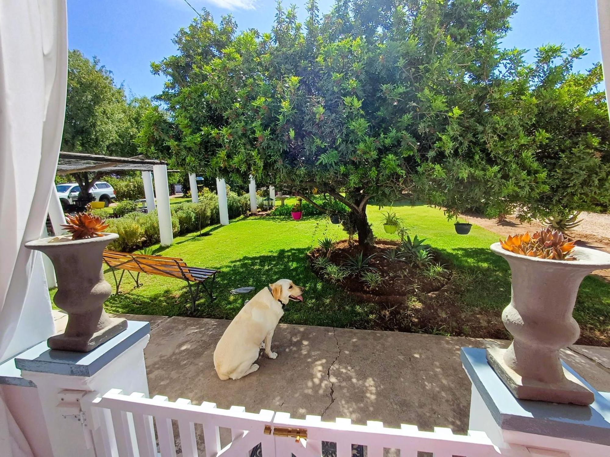 Hotel 86 On Jubilee Oudtshoorn Zimmer foto