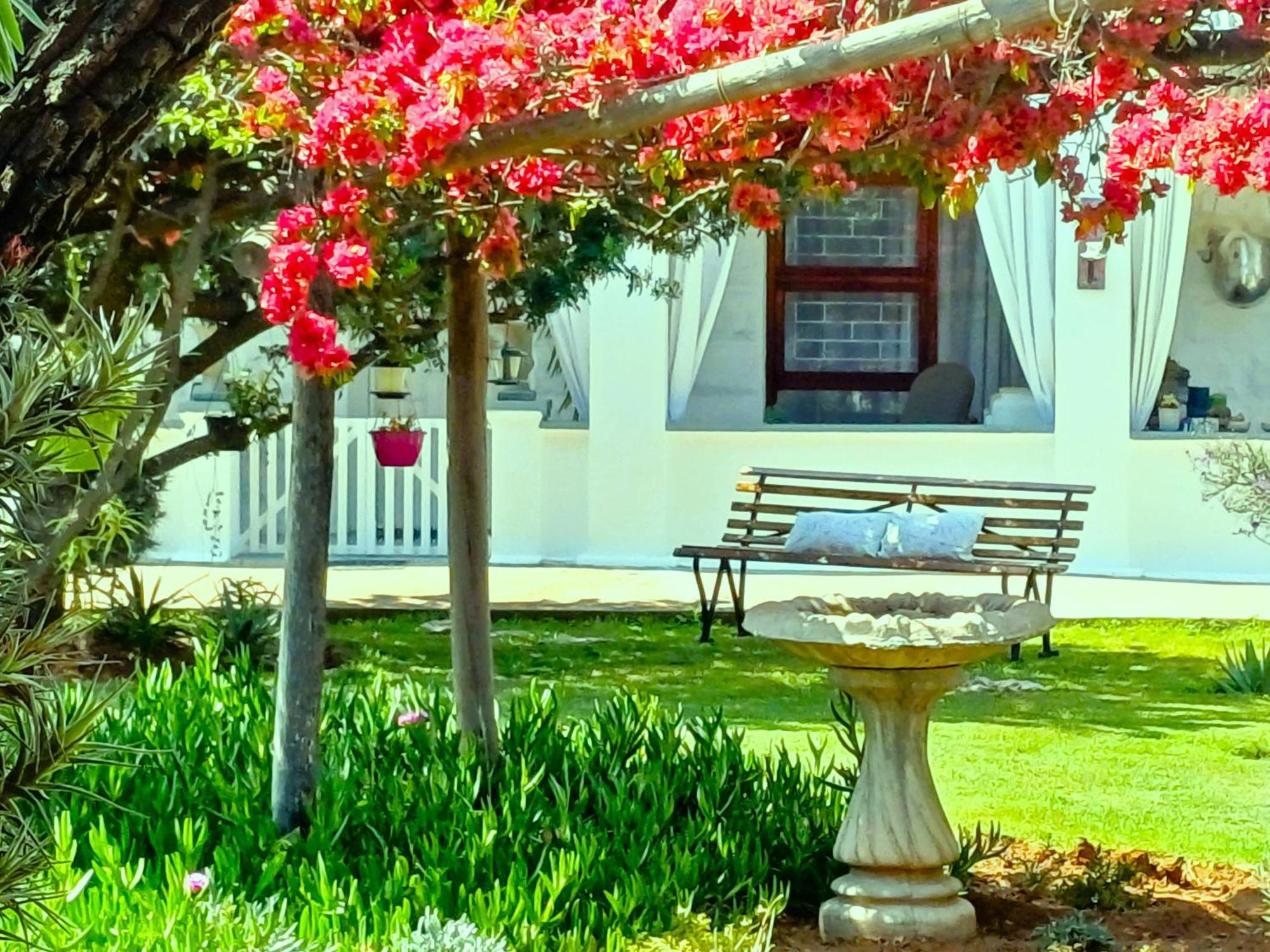 Hotel 86 On Jubilee Oudtshoorn Exterior foto